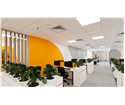 Báo giá thiết kế nội thất văn phòng mới nhất tại Viễn đông Design