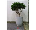 noi-that-van-phong-ekgis-40-