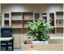 noi-that-van-phong-ekgis-56-