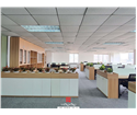 noi-that-van-phong-ekgis-62-