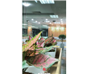 noi-that-van-phong-ekgis-63-