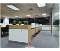 noi-that-van-phong-ekgis-64-