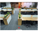 noi-that-van-phong-ekgis-74-
