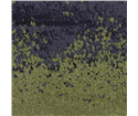 tt-landscape-11-