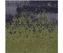 tt-landscape-12-