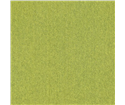 tts-cg-02-3-