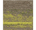 tt-season-collection-10-