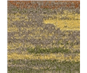 tt-season-collection-14-
